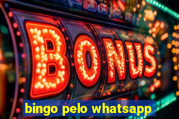 bingo pelo whatsapp